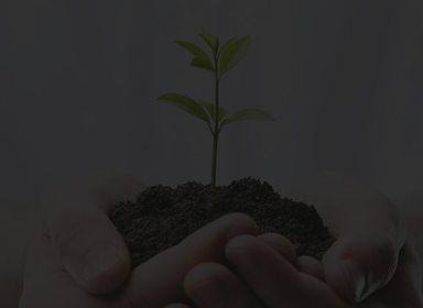 js33333金沙线路检测(中国游)有限公司官网